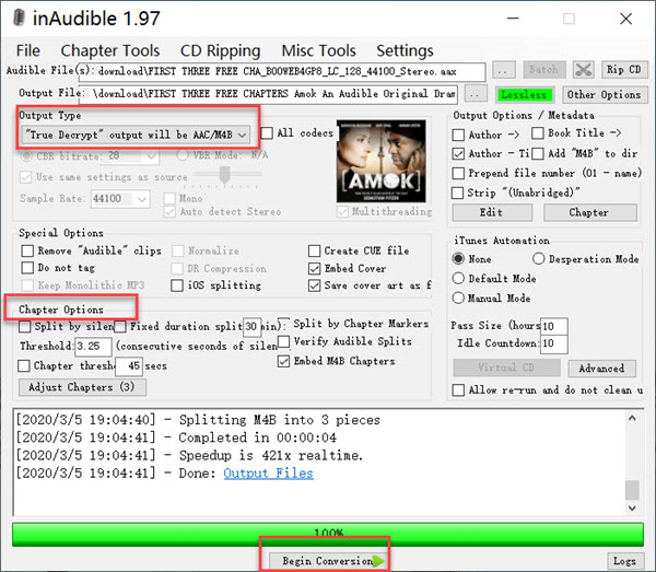 AAX to MP3 mit InAudible Windows