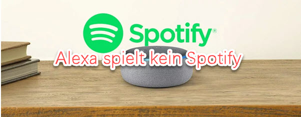 Alexa spielt keine Musik mehr ab