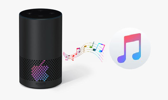 Apple Music auf Amazon Echo abspielen