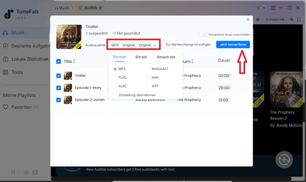 Audible DRM entfernen mit TuneFab