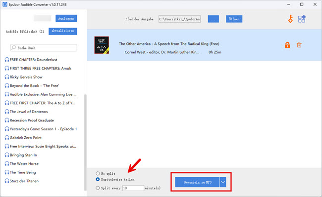 Audible DRM entfernen mit Epubor Audible Converter