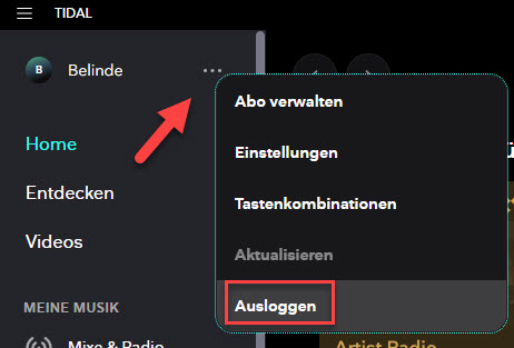 Bei Tidal ausloggen