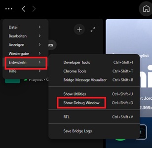 BlockTheSpot Entwicklermodus