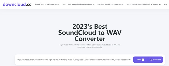 DownCloud.cc WAV Downloader