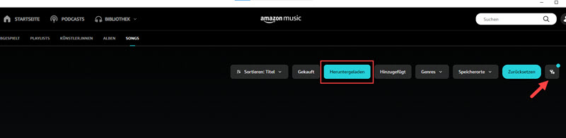 Heruntergeladene Amazon Music Songs offline hören auf dem Computer