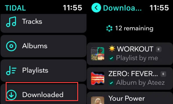 Heruntergeladene Tidal Musik auf Apple Watch anhören