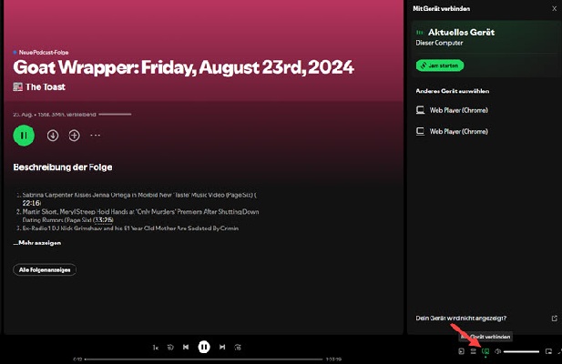Diesen Computer als aktives Gerät mit Spotify Connect