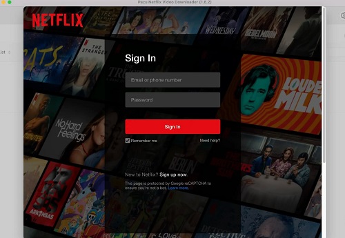 Bei Netflix Konto anmelden Pazu