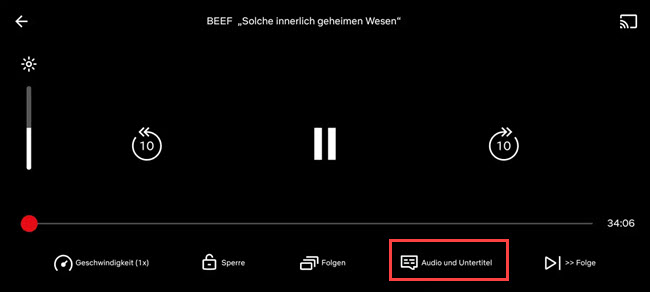 Netflix Audio und Untertitel