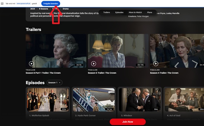 Netflix-Aufnahme beenden