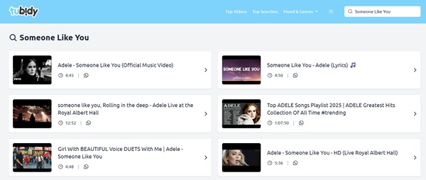 Passende Datei auswählen in Tubidy