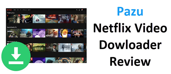 Pazu Netflix Video Downloader Review
