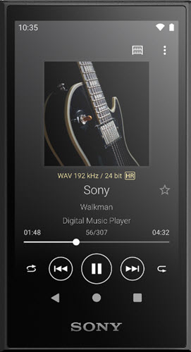 Sony NW A306