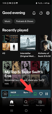 Streamen von Spotify Songs auf anderen Geräten beenden