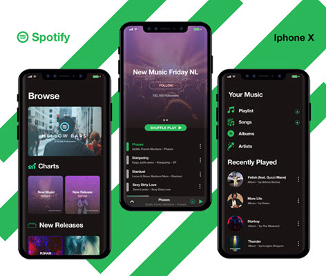 Spotify Musik auf iPhone speichern