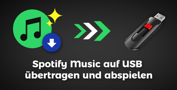 Lieder von Spotify auf USB Stick