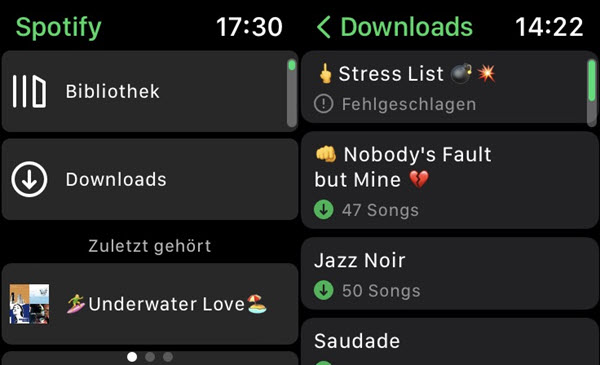 Spotify auf Apple Watch offline hören