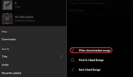 Spotify Downloads auf iOS-Gerät finden