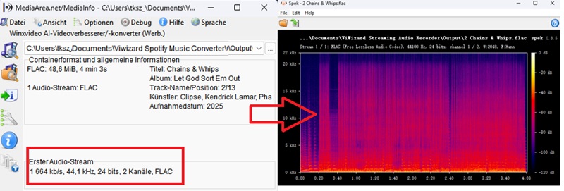 ViWizard-Spotify-FLAC-Qualität überprüfen
