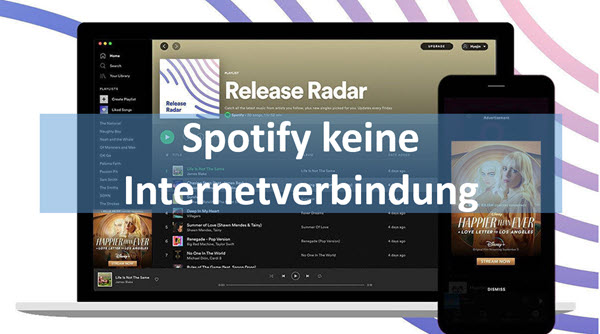 Spotify keine Internetverbindung