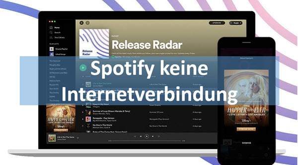 Spotify keine Internetverbindung Problemlösungen