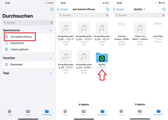 Spotify lokale Dateien auf meinem iPhone