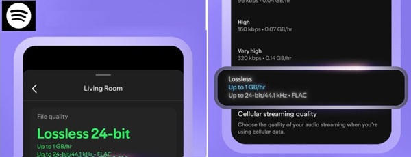 Spotify Lossless aktivieren