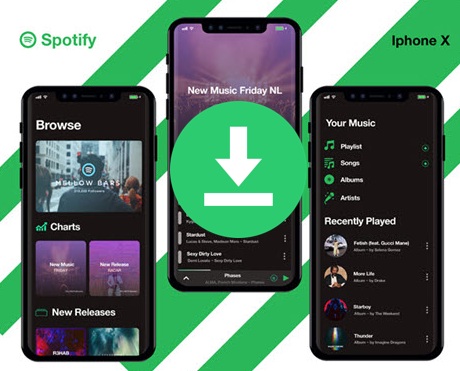 Spotify Musik auf iPhone speichern
