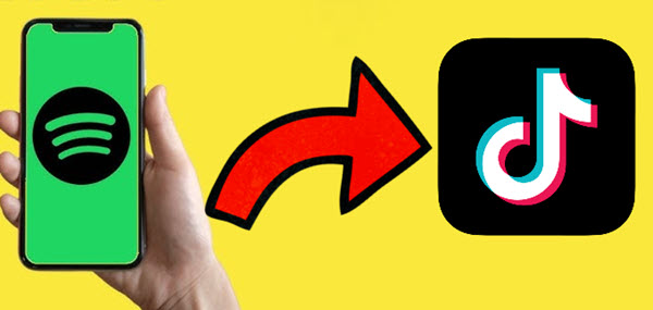 Spotify Musik zu TikTok hinzufügen