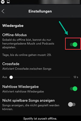 Spotify offline Modus aktivieren auf dem Handy