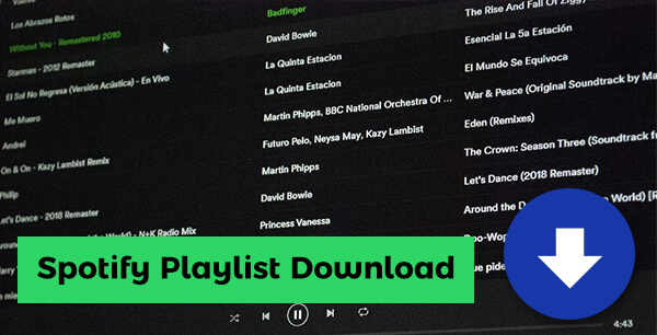 Spotify Playlist downloaden