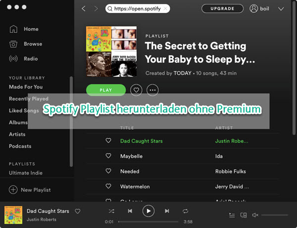 Spotify Playlist herunterladen ohne Premium