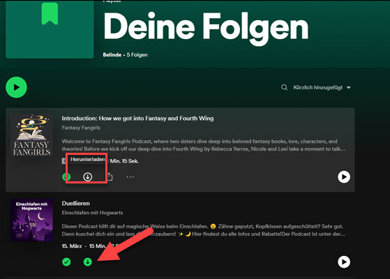 Spotify Podcast herunterladen auf dem Computer