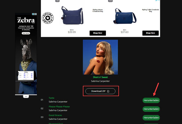 Spotify Playlist in MP3 herunterladen mit online Spotify Downloader