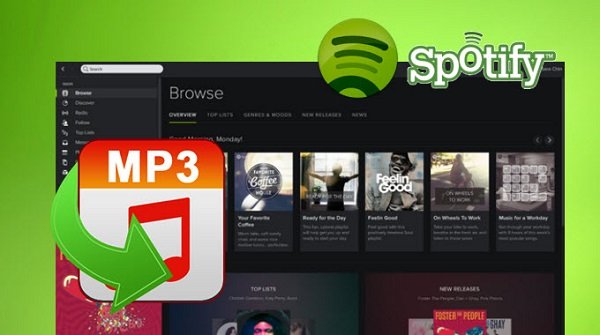 Spotify to MP3 Converter