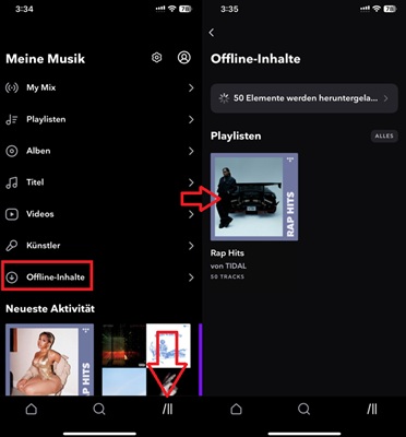 TIDAL-Offline-Inhalte