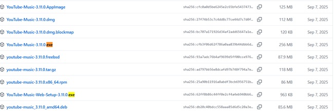 YouTube Music Web installieren
