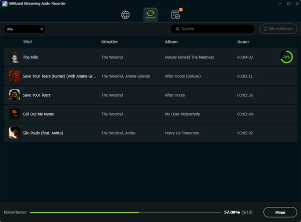 Spotify DRM entfernen mit ViWizard Streaming Converter