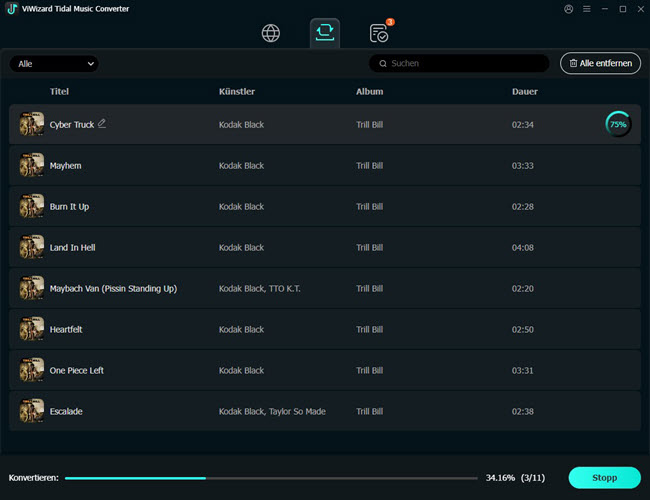 Tidal Music in MP3 umwandeln