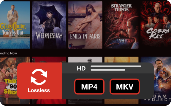 netflix to mp4 oder mkv herunterladen
